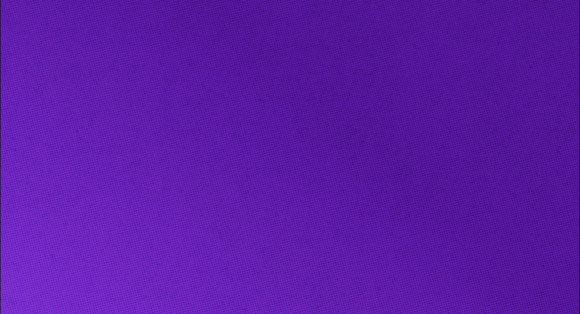 Novidades na WowTalk ✨